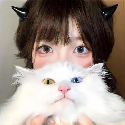 机智医生生活第二季